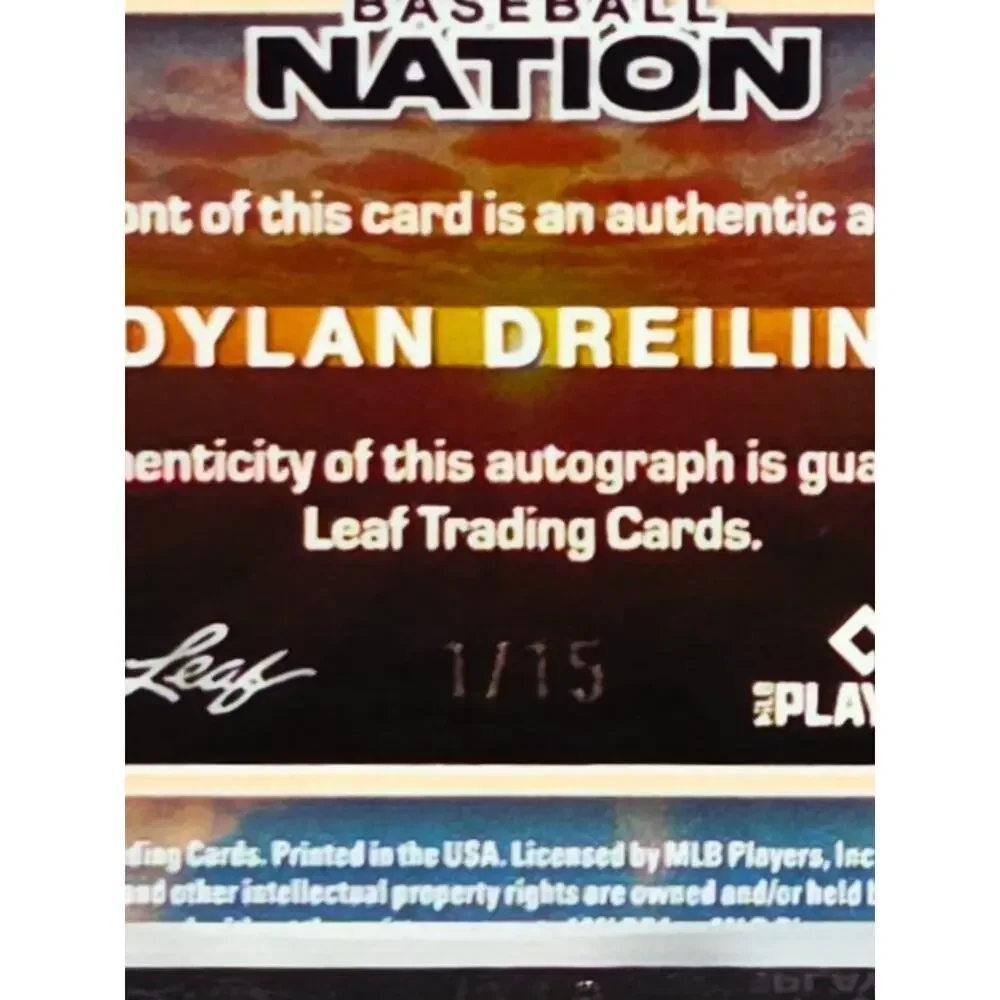 Panini dylan dreiling